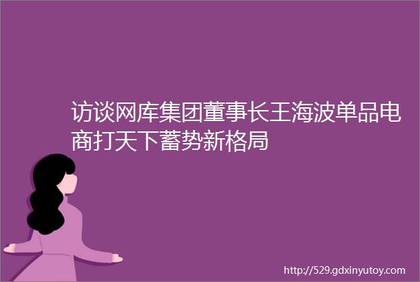 访谈网库集团董事长王海波单品电商打天下蓄势新格局